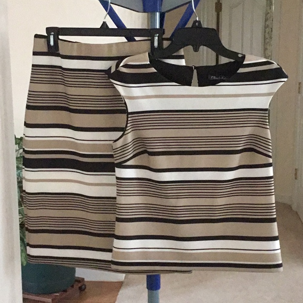 Skirt Set